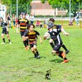 Rugby_Fiumicello_Trofeo_Corallo_2023-05-07_dm_1190
