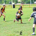 Rugby_Fiumicello_Trofeo_Corallo_2023-05-07_dm_1204