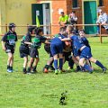 Rugby_Fiumicello_Trofeo_Corallo_2023-05-07_dm_1298