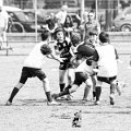 Rugby_Fiumicello_Trofeo_Corallo_2023-05-07_dm_1368