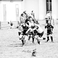 Rugby_Fiumicello_Trofeo_Corallo_2023-05-07_dm_1376
