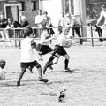 Rugby_Fiumicello_Trofeo_Corallo_2023-05-07_dm_1402