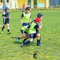 Rugby_Fiumicello_Trofeo_Corallo_2023-05-07_dm_1464