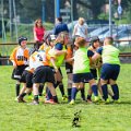 Rugby_Fiumicello_Trofeo_Corallo_2023-05-07_dm_1483