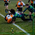 Rugby_Fiumicello_U14_Botticino_2024-02-17_dm_0152