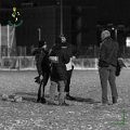 Rugby_Fiumicello_U14_Rugby_Bergamo_1950_2023-11-25_dm_0065