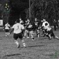 Rugby_Fiumicello_U14_Velate_Rugby_1981_2023-11-04_dm_00049