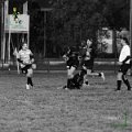 Rugby_Fiumicello_U14_Velate_Rugby_1981_2023-11-04_dm_00069