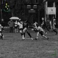 Rugby_Fiumicello_U14_Velate_Rugby_1981_2023-11-04_dm_00071