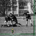 Rugby_Fiumicello_U16_Volpiano_2024-01-21_dm_052