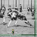 Rugby_Fiumicello_U16_Volpiano_2024-01-21_dm_221