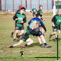 Rugby_Fiumicello_U16_Volpiano_2024-01-21_dm_225