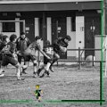 Rugby_Fiumicello_U16_Volpiano_2024-01-21_dm_426