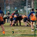 Rugby_Fiumicello_U16_Volpiano_2024-01-21_dm_528