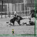 Rugby_Fiumicello_U16_Volpiano_2024-01-21_dm_560