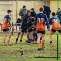 Rugby_Fiumicello_U16_Volpiano_2024-01-21_dm_634